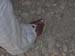 DSCN0351